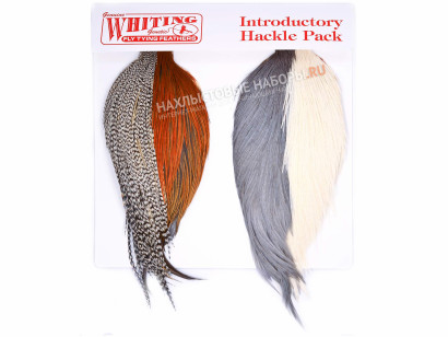 Набор (4 половинки скальпов) WHITING Introductory Hackle Pack